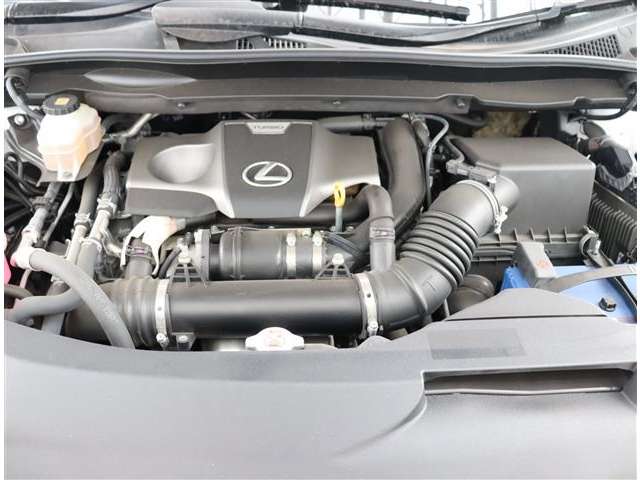 レクサス ＲＸ３００ Ｆスポーツ H30年 (関東) 99