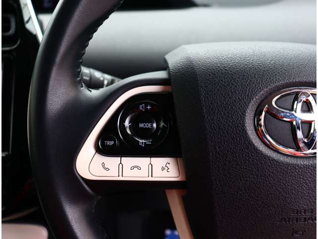 トヨタ プリウス １．８ Ｓ ツーリングセレクション H29年 (関東) 99