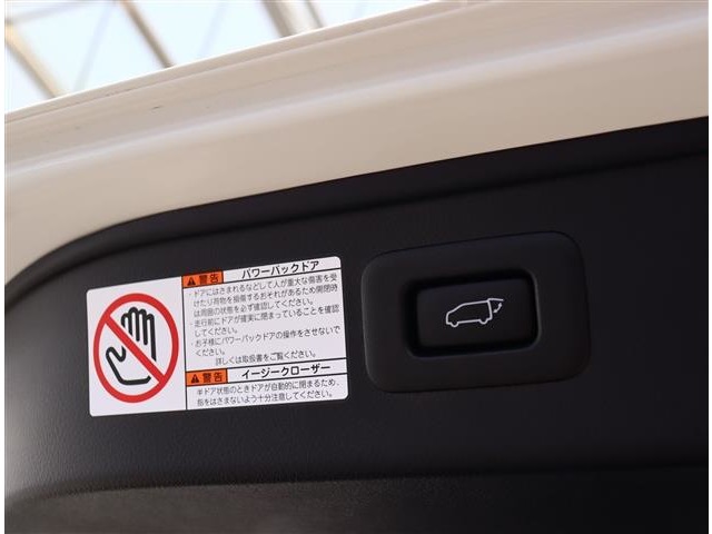 トヨタ アルファード ２．５ Ｓ Ｃパッケージ R3年 (関東) 99