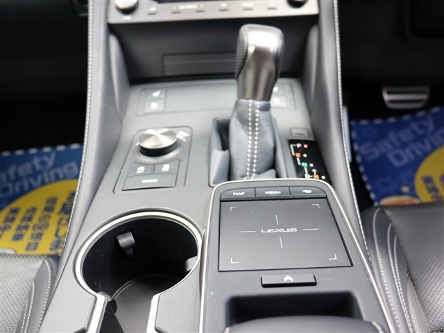 レクサス ＲＣ３００ Ｆスポーツ H30年 (関東) 99