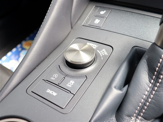 レクサス ＲＣ３００ Ｆスポーツ H30年 (関東) 99