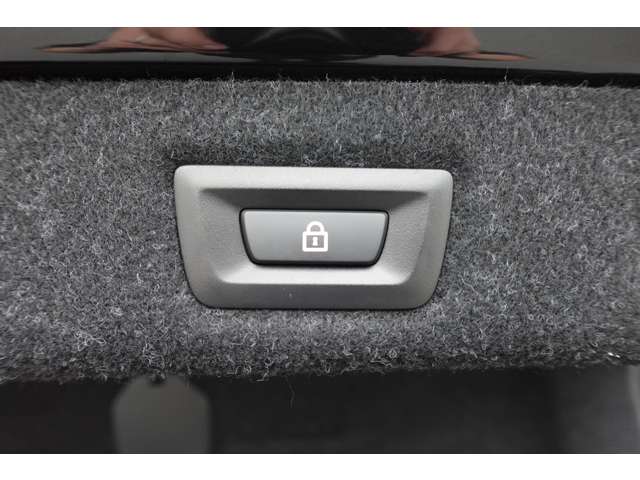 ＢＭＷ ５シリーズ ５２３ｉ　ラグジュアリー R3年 (近畿) 99