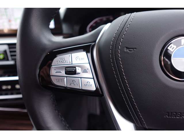 ＢＭＷ ５シリーズ ５２３ｉ　ラグジュアリー R3年 (近畿) 99