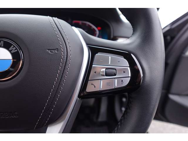 ＢＭＷ ５シリーズ ５２３ｉ　ラグジュアリー R3年 (近畿) 99