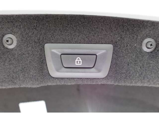 ＢＭＷ ６シリーズ ６４０Ｉ Ｍスポーツ H27年 (近畿) 99