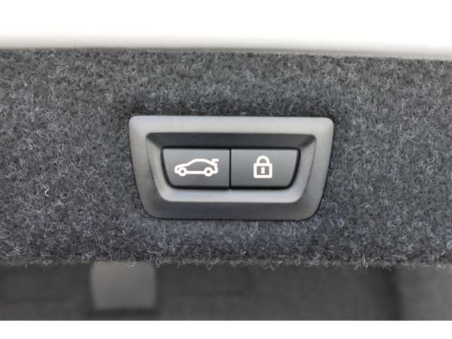 ＢＭＷ ５シリーズ ５２３Ｄ Ｘドライブ Ｍスポーツ ディーゼルターボ ４ＷＤ R4年 (近畿) 99