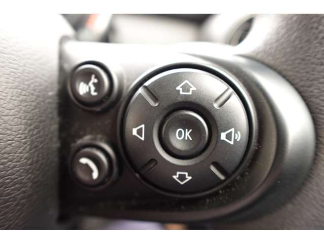 ミニ ミニ ヴィクトリア ５ドア ＤＣＴ H30年 (近畿) 99