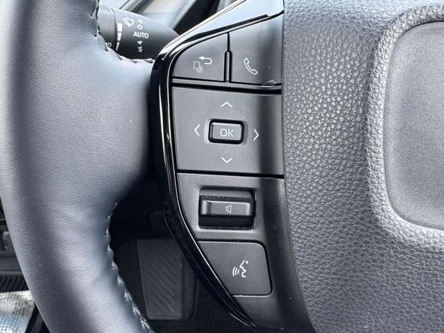 トヨタ プリウス ２．０ Ｚ R5年 (九州・沖縄) 99