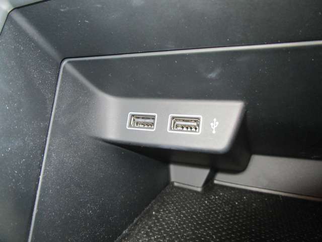 フォルクスワーゲン ポロ ＴＳＩ　トレンドライン H30年 (中国) 99