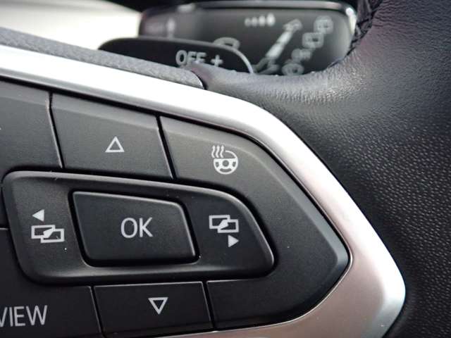 フォルクスワーゲン ゴルフ ＴＤＩ アクティブ アドバンス プラチナム エディション ディーゼルターボ R5年 (関東) 99