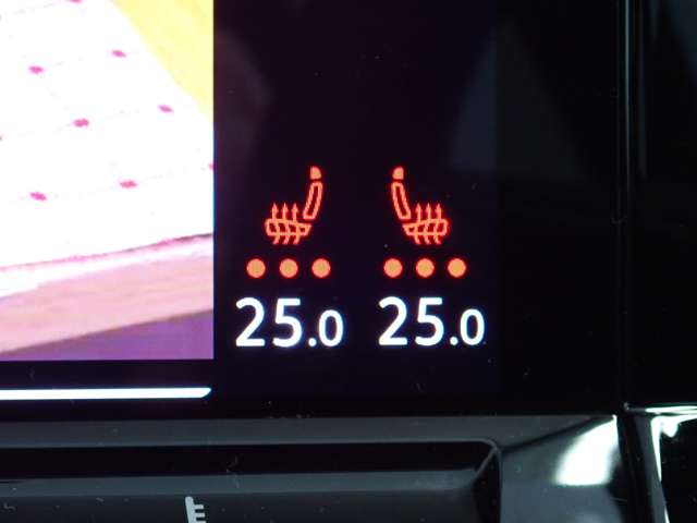 フォルクスワーゲン ゴルフ ＴＤＩ アクティブ アドバンス プラチナム エディション ディーゼルターボ R5年 (関東) 99