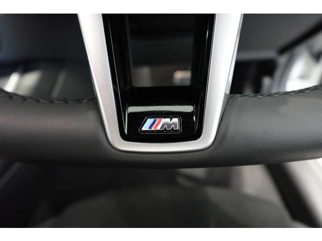 ＢＭＷ ３シリーズ ３２０Ｄ Ｘドライブ Ｍスポーツ ディーゼルターボ ４ＷＤ R6年 (近畿) 99