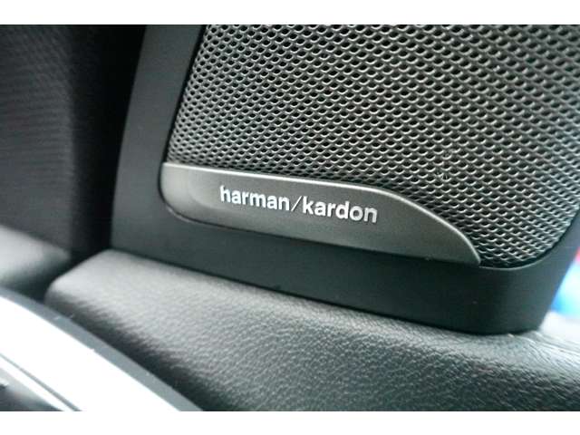 ＢＭＷ Ｘ５ Ｘドライブ ３５Ｄ Ｍスポーツ ドライビング ダイナミクス パッケージ ４ＷＤ R2年 (近畿) 99