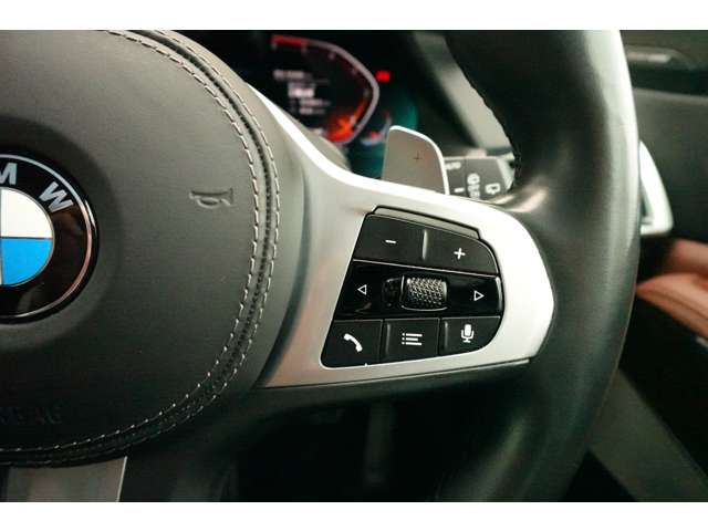 ＢＭＷ Ｘ５ Ｘドライブ ３５Ｄ Ｍスポーツ ドライビング ダイナミクス パッケージ ４ＷＤ R2年 (近畿) 99