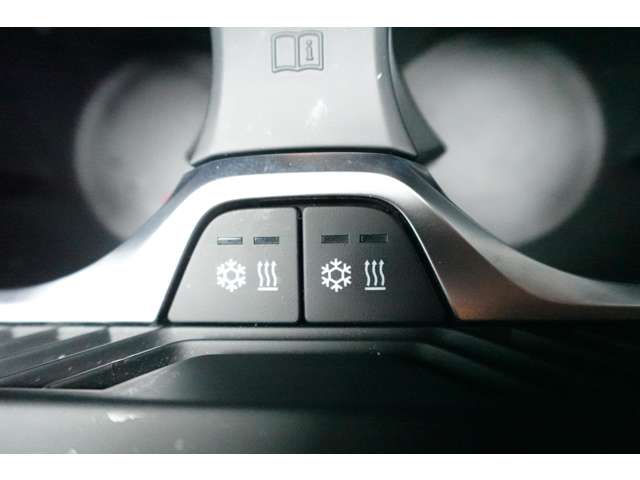 ＢＭＷ Ｘ５ Ｘドライブ ３５Ｄ Ｍスポーツ ドライビング ダイナミクス パッケージ ４ＷＤ R2年 (近畿) 99