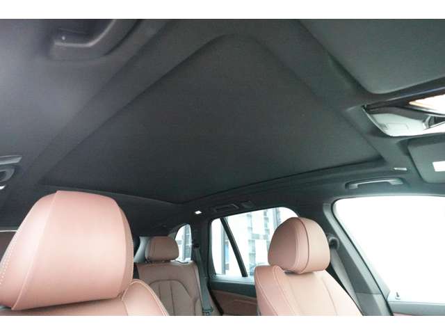 ＢＭＷ Ｘ５ Ｘドライブ ３５Ｄ Ｍスポーツ ドライビング ダイナミクス パッケージ ４ＷＤ R2年 (近畿) 99