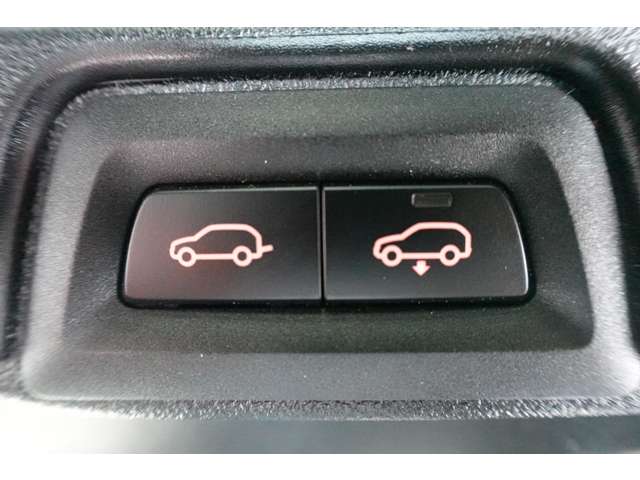 ＢＭＷ Ｘ５ Ｘドライブ ３５Ｄ Ｍスポーツ ドライビング ダイナミクス パッケージ ４ＷＤ R2年 (近畿) 99