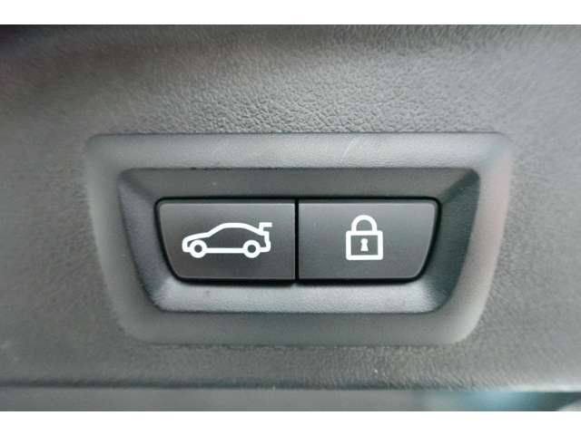 ＢＭＷ Ｘ５ Ｘドライブ ３５Ｄ Ｍスポーツ ドライビング ダイナミクス パッケージ ４ＷＤ R2年 (近畿) 99