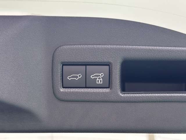 トヨタ ｂＺ４Ｘ Ｚ ４ＷＤ R5年 (東海) 99