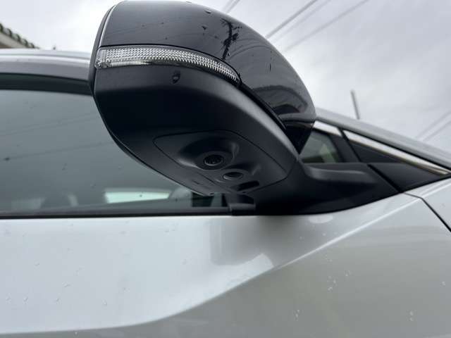 トヨタ ｂＺ４Ｘ Ｚ ４ＷＤ R5年 (東海) 99