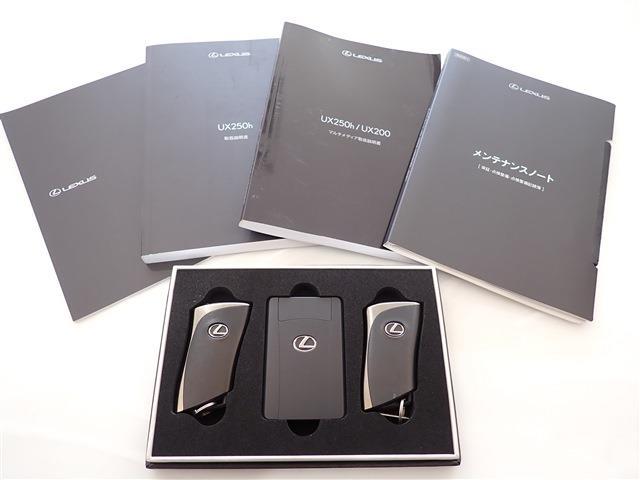 レクサス ＵＸ２５０ｈ Ｆスポーツ R5年 (関東) 99