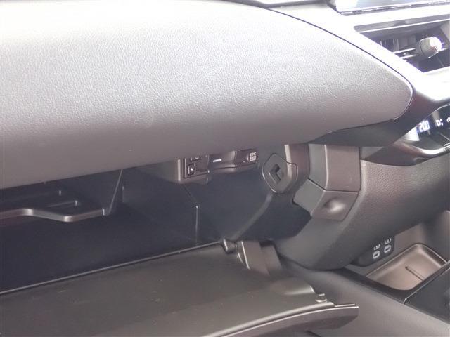 レクサス ＵＸ２５０ｈ Ｆスポーツ R5年 (関東) 99