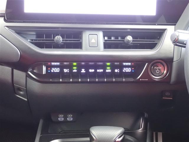 レクサス ＵＸ２５０ｈ Ｆスポーツ R5年 (関東) 99