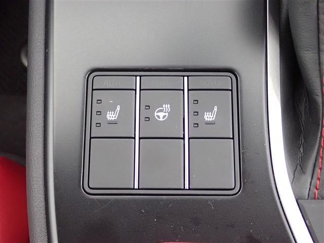 レクサス ＵＸ２５０ｈ Ｆスポーツ R5年 (関東) 99