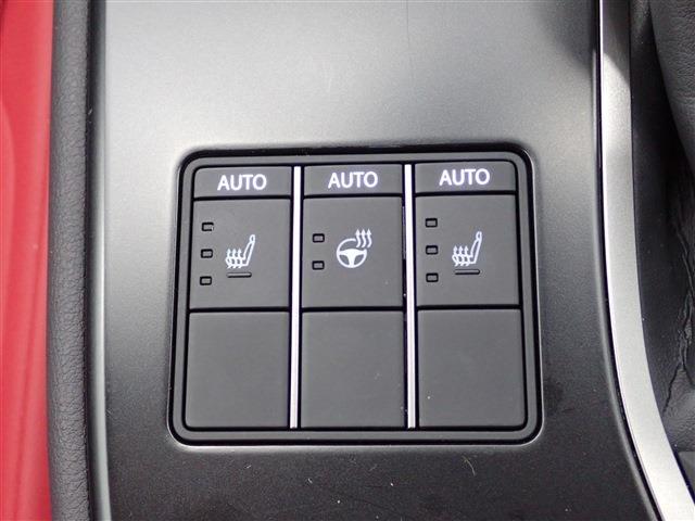 レクサス ＵＸ２５０ｈ Ｆスポーツ R5年 (関東) 99