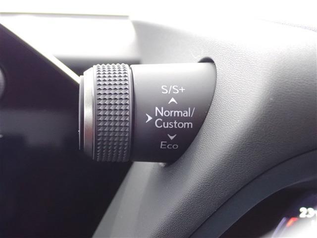 レクサス ＵＸ２５０ｈ Ｆスポーツ R5年 (関東) 99