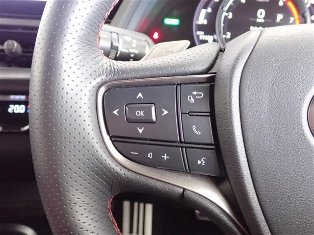 レクサス ＵＸ２５０ｈ Ｆスポーツ R5年 (関東) 99