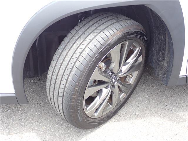 レクサス ＵＸ２５０ｈ Ｆスポーツ R5年 (関東) 99