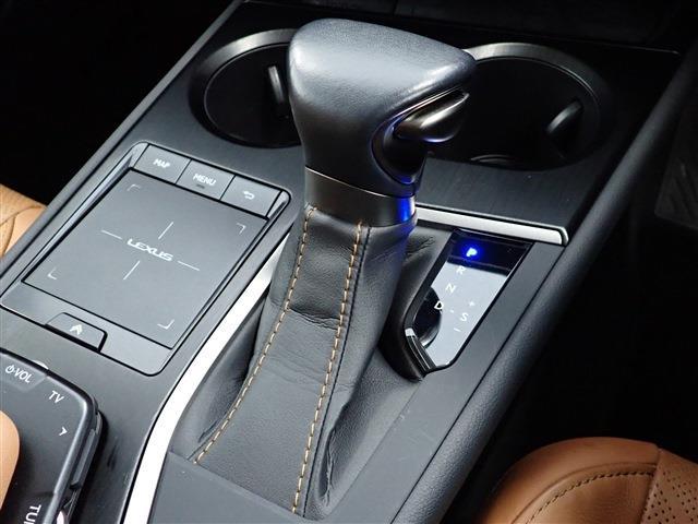 レクサス ＵＸ２５０ｈ バージョンＬ R2年 (関東) 99