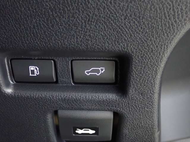 レクサス ＵＸ２５０ｈ バージョンＬ R2年 (関東) 99