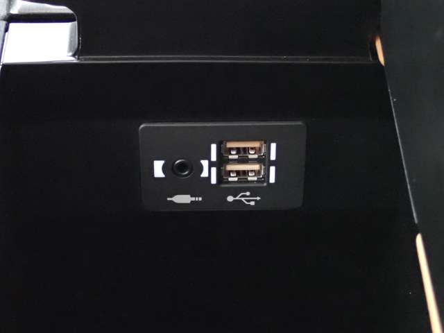 レクサス ＵＸ２５０ｈ バージョンＬ R2年 (関東) 99