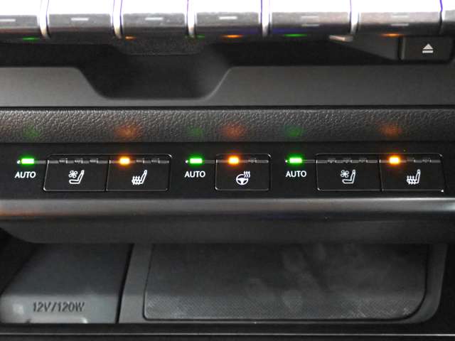 レクサス ＵＸ２５０ｈ バージョンＬ R2年 (関東) 99