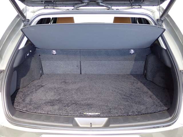 レクサス ＵＸ２５０ｈ バージョンＬ R2年 (関東) 99