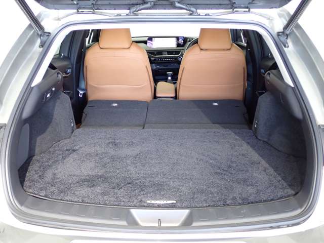 レクサス ＵＸ２５０ｈ バージョンＬ R2年 (関東) 99