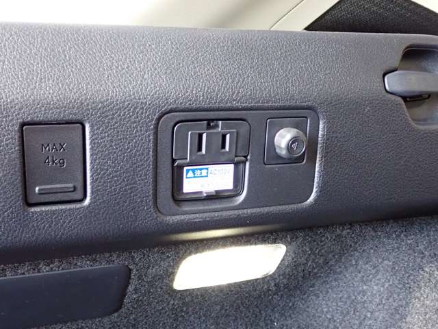 レクサス ＵＸ２５０ｈ バージョンＬ R2年 (関東) 99