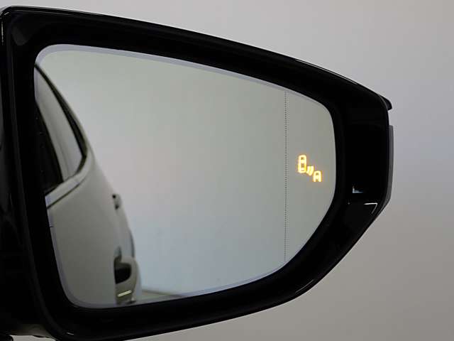 レクサス ＵＸ２５０ｈ バージョンＬ R2年 (関東) 99