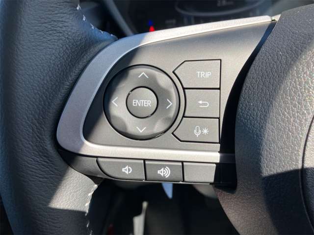 トヨタ ライズ １．２ Ｚ R5年 (東海) 99