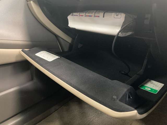 日産 ムラーノ ２．５ ２５０ＸＬ ＦＯＵＲ ４ＷＤ H21年 (北海道) 99