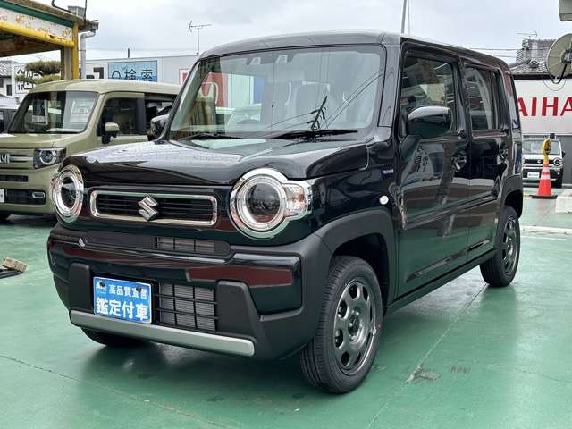 スズキ ハスラー ６６０ ハイブリッド Ｇ R7年 (東海) 99