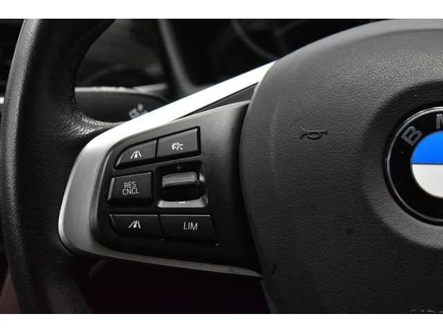 ＢＭＷ Ｘ１ Ｘドライブ ２０Ｉ Ｘライン ４ＷＤ H29年 (関東) 99