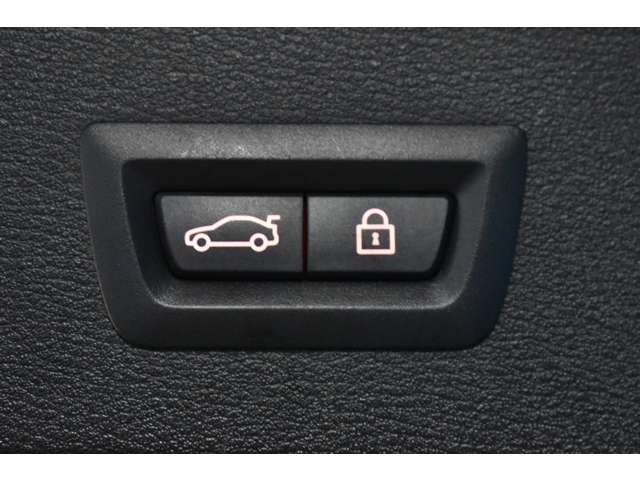 ＢＭＷ Ｘ１ Ｘドライブ ２０Ｉ Ｘライン ４ＷＤ H29年 (関東) 99