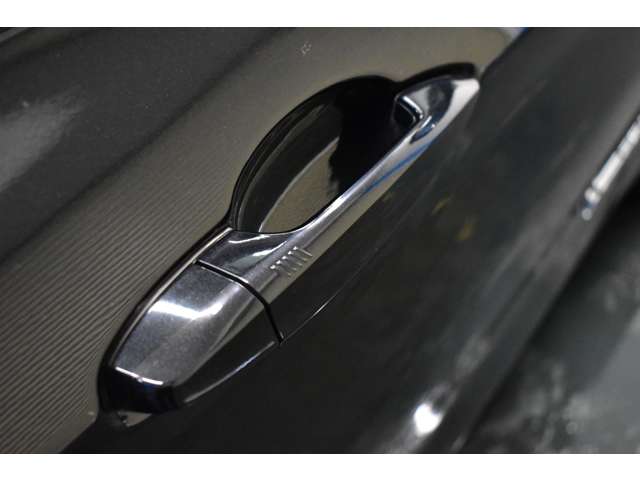 ＢＭＷ Ｘ１ Ｘドライブ ２０Ｉ Ｘライン ４ＷＤ H29年 (関東) 99