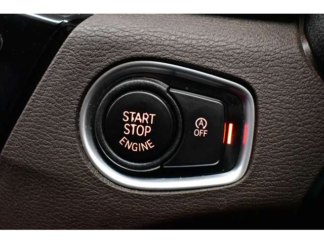 ＢＭＷ Ｘ１ Ｘドライブ ２０Ｉ Ｘライン ４ＷＤ H29年 (関東) 99