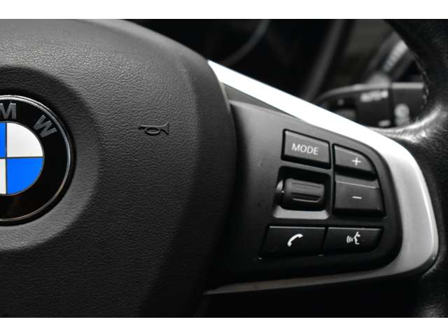 ＢＭＷ Ｘ１ Ｘドライブ ２０Ｉ Ｘライン ４ＷＤ H29年 (関東) 99