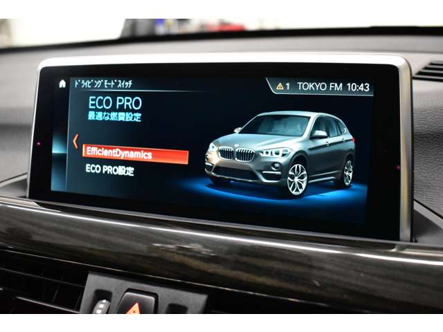 ＢＭＷ Ｘ１ Ｘドライブ ２０Ｉ Ｘライン ４ＷＤ H29年 (関東) 99