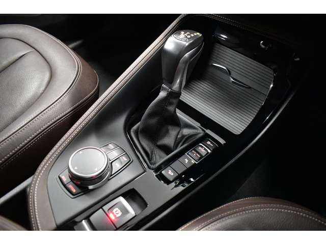 ＢＭＷ Ｘ１ Ｘドライブ ２０Ｉ Ｘライン ４ＷＤ H29年 (関東) 99